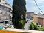 Immagine 12