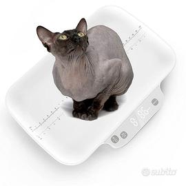 Bilancia per animali domestici cuccioli gattini