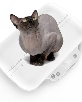 Bilancia per animali domestici cuccioli gattini