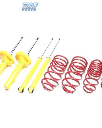 KIT SOSPENSIONE SPORTIVA PER CITROËN