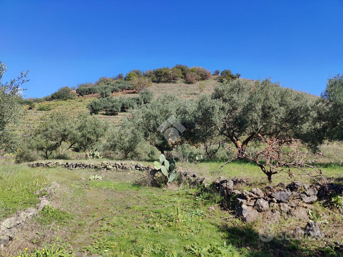 TER. AGRICOLO A LINGUAGLOSSA - Vista 5