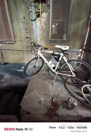 bicicletta litecross 