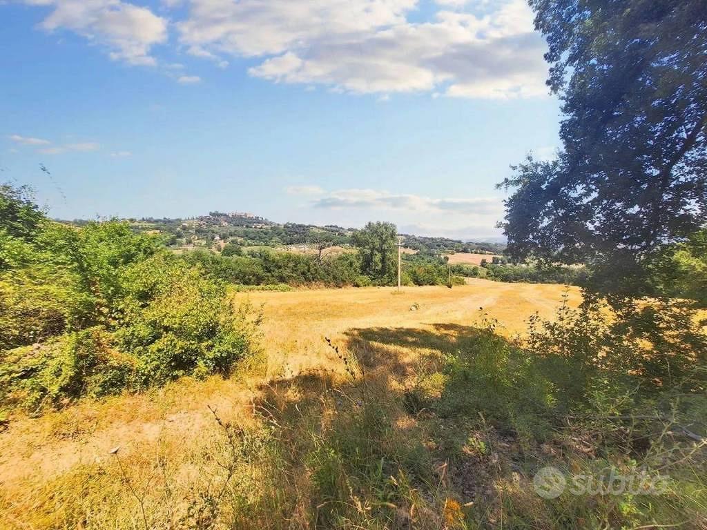 Immobile in asta di 75660 m² a Monte Castello di V - Altro
