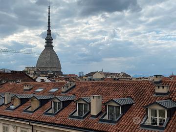 Mini-Appartamento, Mansarda, Mini-Loft in Centro