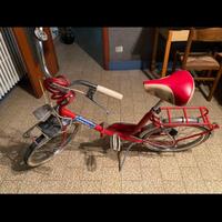 Bicicletta pieghevole Doniselli