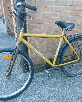Bicicletta Mountain Bike Grimsel vintage uomo/raga