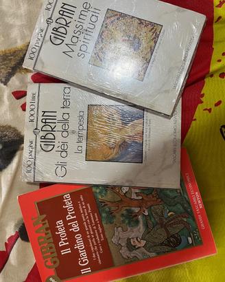 Gibran al 50%