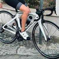 pinarello GUN