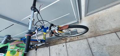 MTB ruote 26