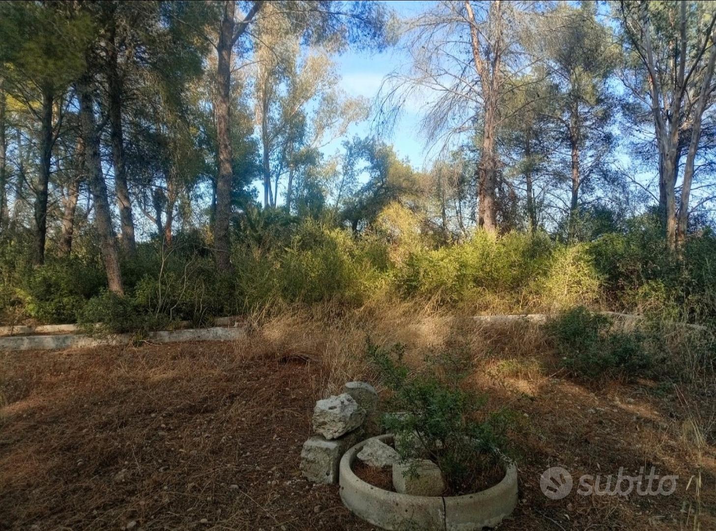 Vendita terreno - Vista 3