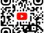 Immagine 29