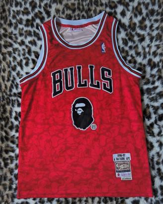 Bape x Bulls