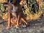 Immagine 1
