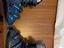 Immagine 1