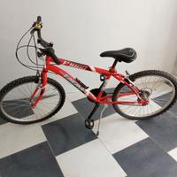 bicicletta taglia 24