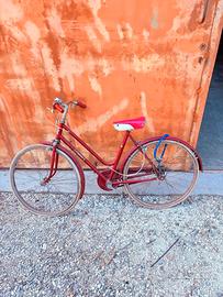 Bicicletta per adulto