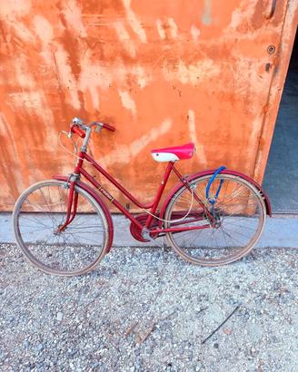Bicicletta per adulto