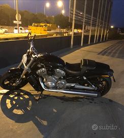 Moto HD V-Rod Muscle