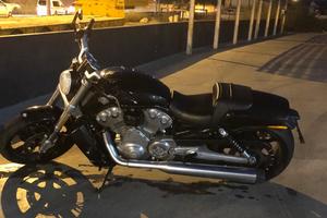 Moto HD V-Rod Muscle