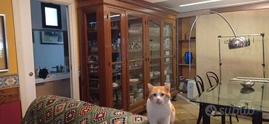 Credenza in legno