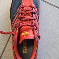 Hoka speedgoat 4