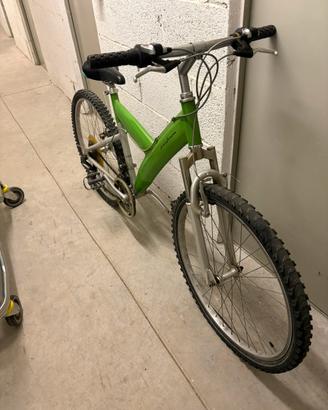 MTB Pininfarina storica bici