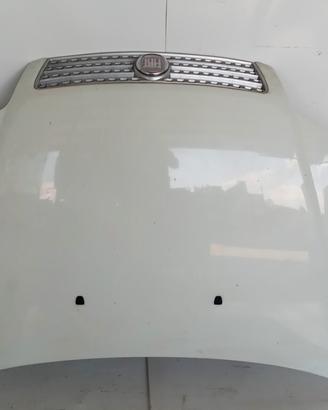 COFANO ANTERIORE FIAT Punto 2003>2010 usato