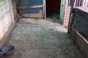 Spazio per ricovero cani