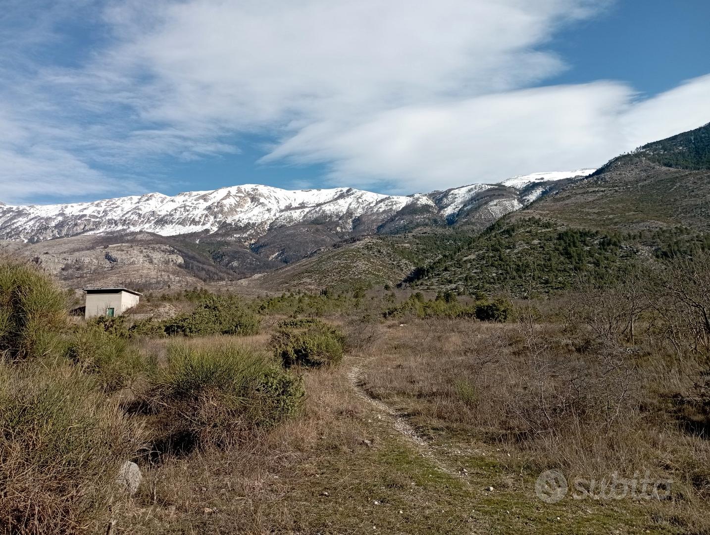 Terreni e tartufaia a Sulmona - Vista 5