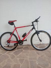 Mountain bike rosso fiammante