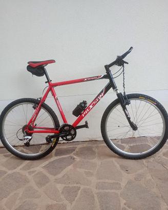 Mountain bike rosso fiammante