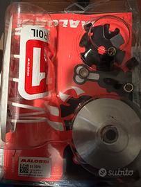 Variatore Malossi Multivar 51 7075