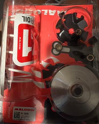 Variatore Malossi Multivar 51 7075