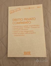diritto privato comparato 