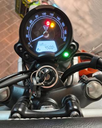 Triumph Street Scrambler 900
