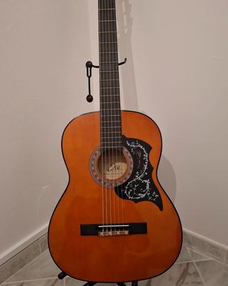 Chitarra Eko