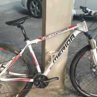 Bici mountain bike