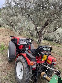 Trattore Goldoni 30 RS tenuto in modo maniacale