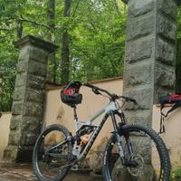 Specialized Enduro Carbon Expert