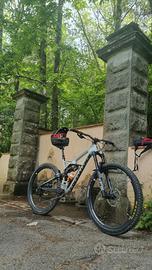 Specialized Enduro Carbon Expert