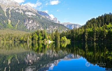 Trentino Family & Pet Friendly