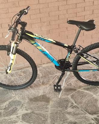 BICI MTB 
