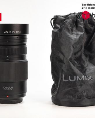 Panasonic Lumix G 100-300 F4.0-5.6 OIS (Panasonic)