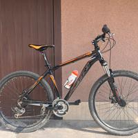 Bicicletta Piranha Vicini