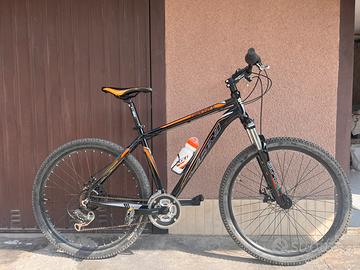 Bicicletta Piranha Vicini