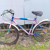 bicicletta