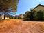 Immagine 22