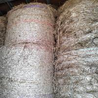 rotoballe di Paglia  Fieno 1-2-