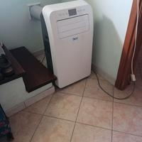 Condizionatore mobile