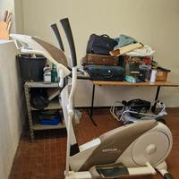 Elittica Kettler satura m 